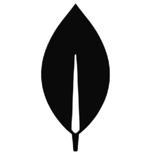 mongodb
